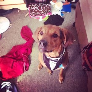 Meet your Posher, Jaimee